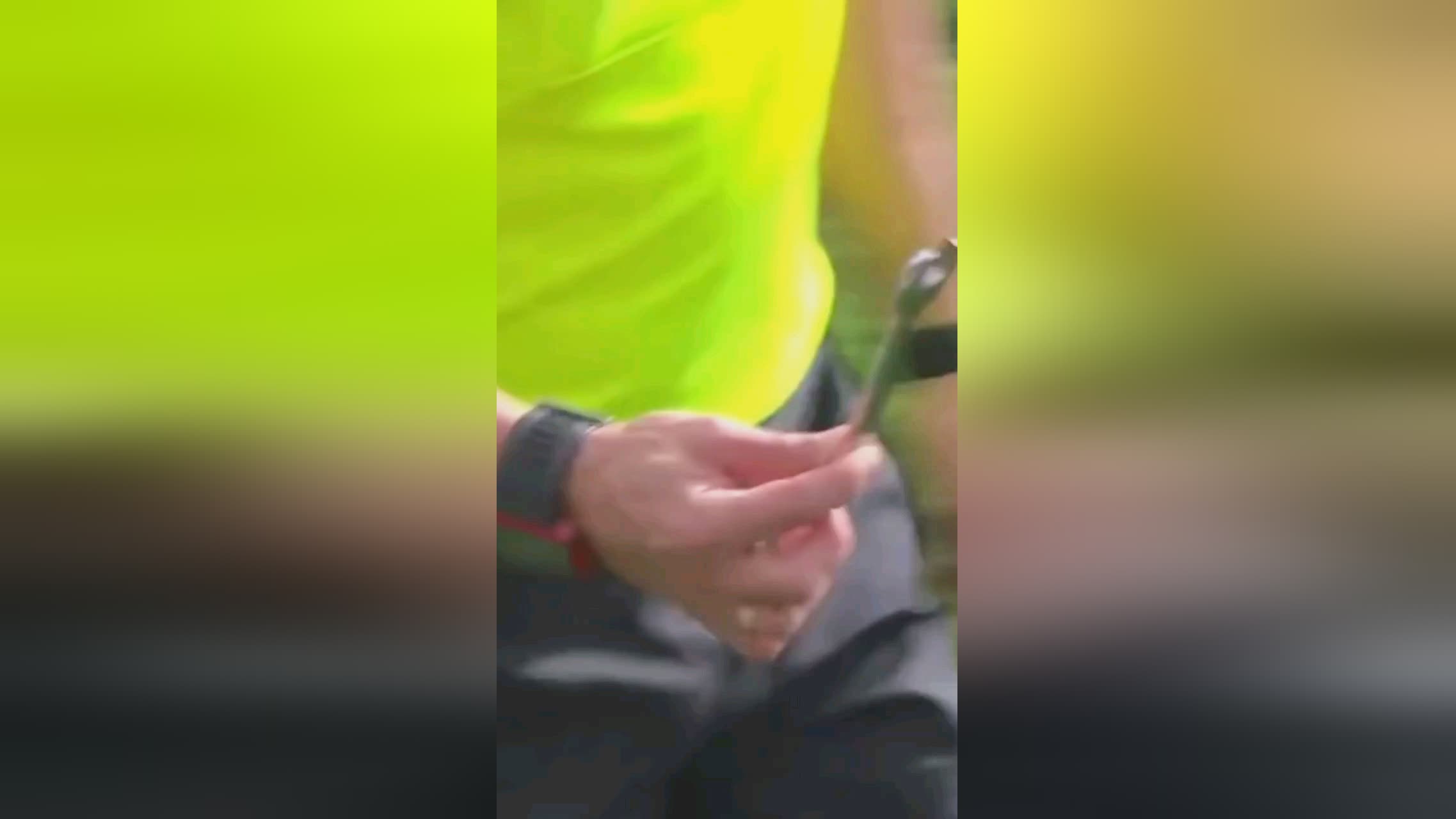 的领